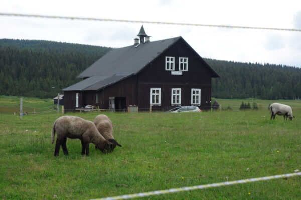 Za klenotem Jizerských hor - Image 4