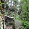 Kalich - Chléviště - Image 2