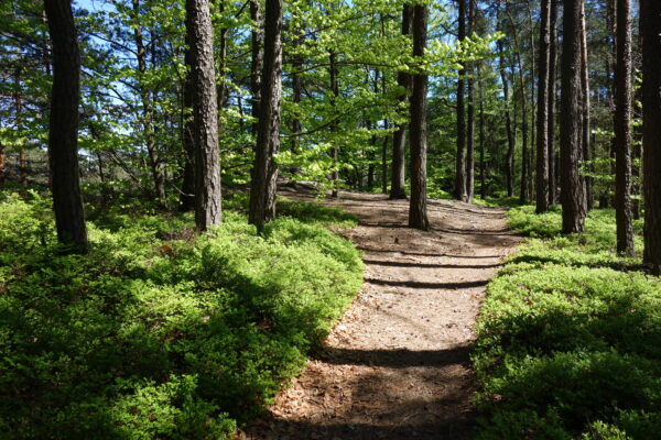 Ještěd - Kozákov - Image 15