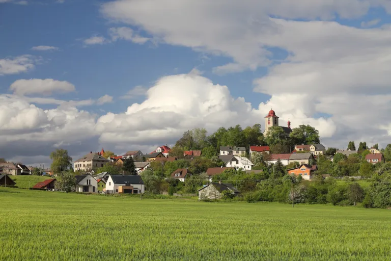 Jenišovice