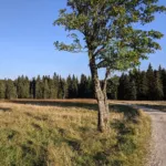 Nová louka