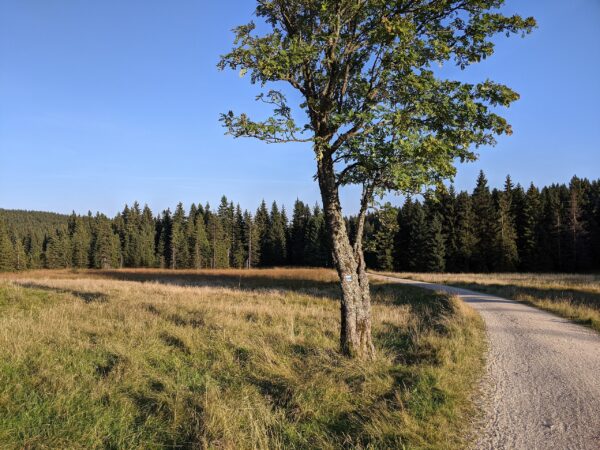 Na Novou louku - Image 5