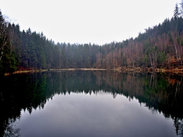 Od Naděje kolem Sirného pramene