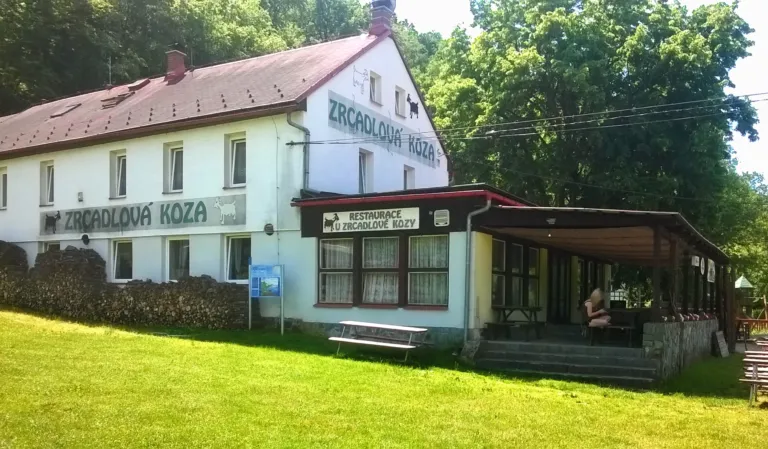 Zrcadlová koza