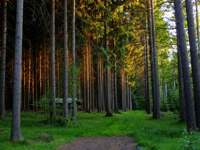 Frýdlantská pahorkatina, Poustecká obora