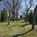 Proseč nad Nisou – hřbitov