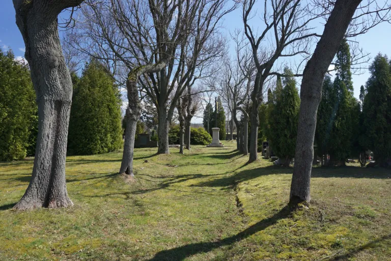Proseč nad Nisou – hřbitov