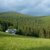 Na Vlčí hřeben - Image 3