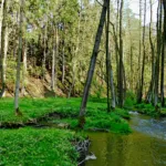 Anenské údolí