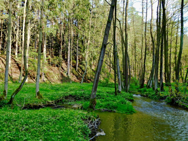 Od Mumlavy k Jizeře