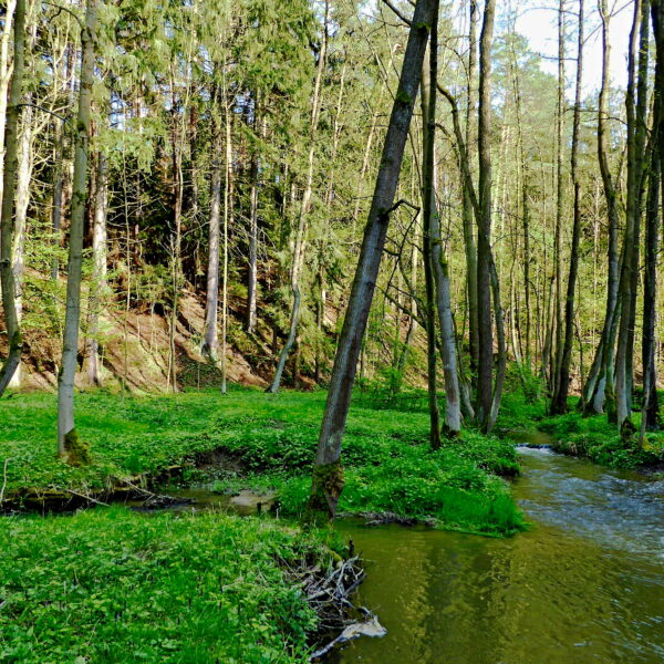 Od Mumlavy k Jizeře