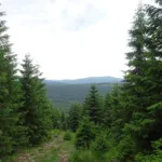Nebeský žebřík