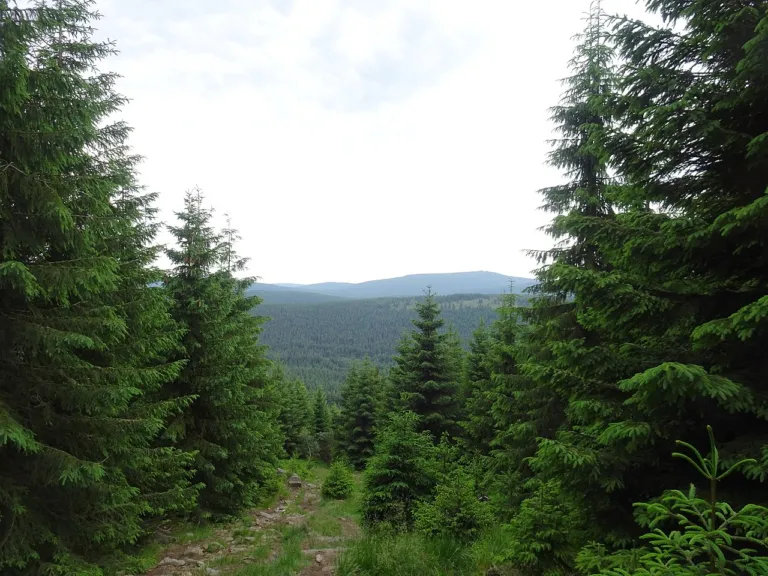 Nebeský žebřík