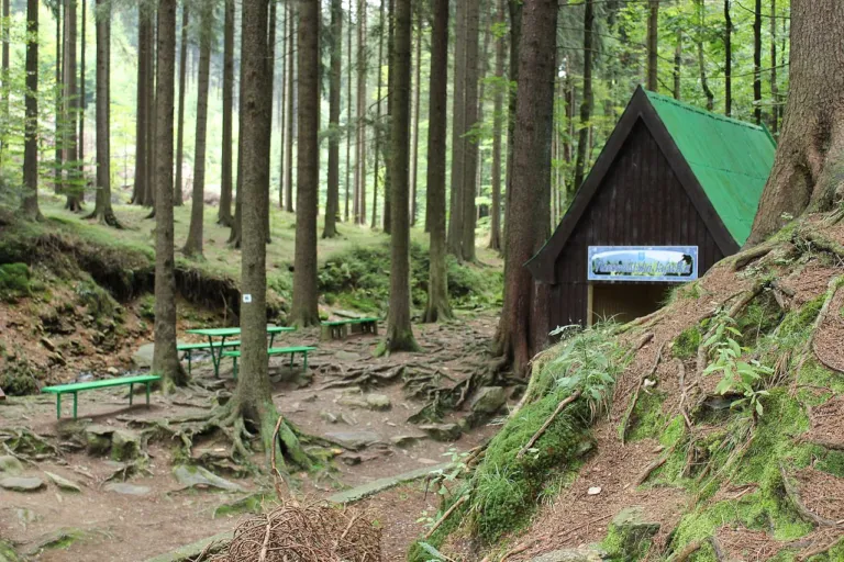 Nové Město pod Smrkem, Kyselka