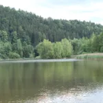Peklo (Raspenava), rybník Petr