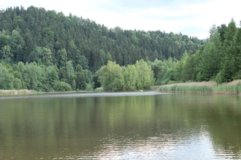 Peklo (Raspenava), rybník Petr